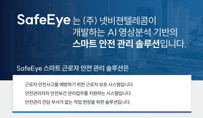 Safe Eye 솔루션 - Safe Eye 소개 브로슈어 [첨부 이미지1]